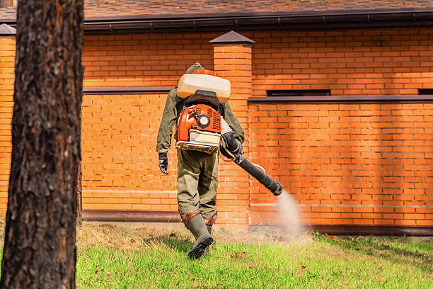 Trusted Cockroach Control service in Storm Lake, IA - Nex Pest Control